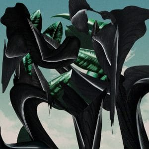 Kuthi Jinani - Discarga Verde Vinyl