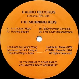 The Morning Kids - In A Golden Haze Vinyl
