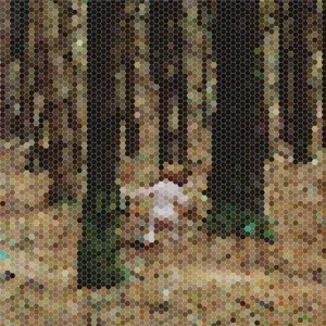 Principles Of Geometry & Sébastien Tellier - A Mountain For President EP Vinyl