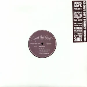 Groove Boys Project & Ava Baya - Feel The Groove EP Vinyl