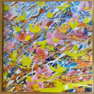 H TO O - Cycle Vinyl