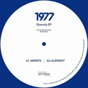 1977 - Diversity EP Vinyl