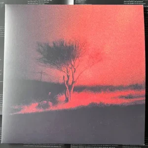 Joji - Piss In The Wind Vinyl