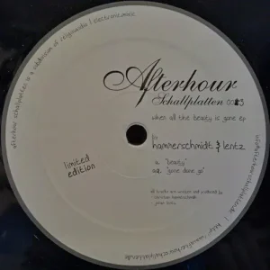 Hammerschmidt & Lentz - When All The Beauty Is Gone EP Vinyl